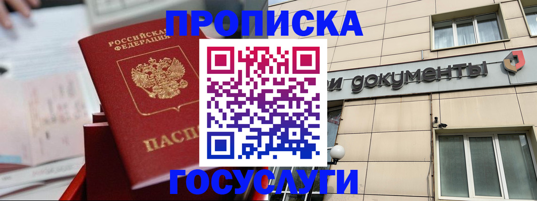 прописка в Новгородской области